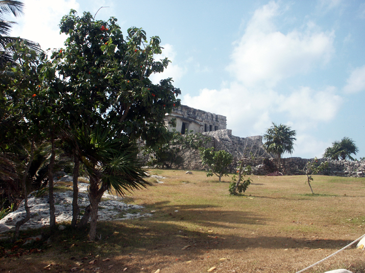 0704 tulum 28.jpg - DCF 1.0